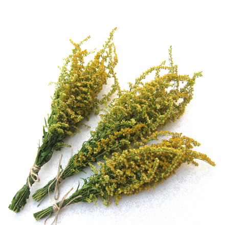   Травы для бани Woodson золотарник