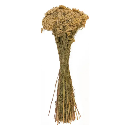   Травы для бани Woodson тысячелистник