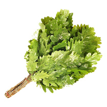   Веник для бани LK Отборный дубовый