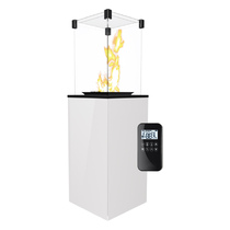   Газовый камин Kratki PATIO/MINI/G31/37MBAR с пультом ДУ(B - Белое стекло)