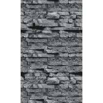   Плита Декор LK Astonit Серый камень №1008(Размер 1200х600х9 мм, Направление рисунка Вертикаль)