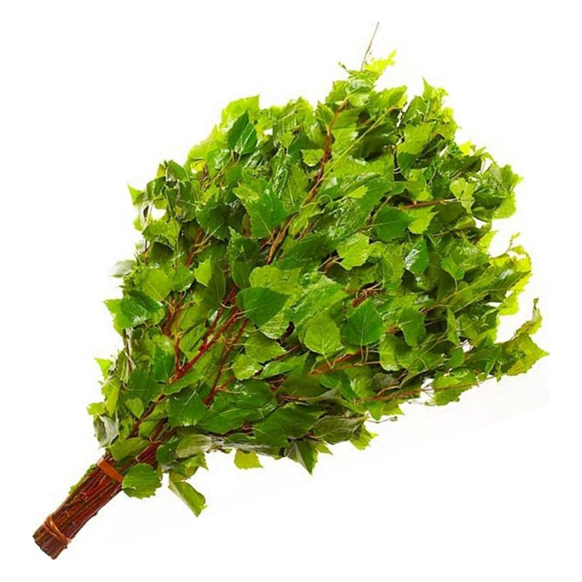   Веник для бани LK березовый отборный в индивидуальной упаковке